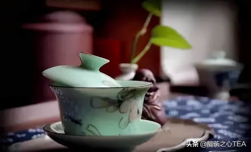 茶百科 | 茶气到底是什么？茶气足是怎样的表现？