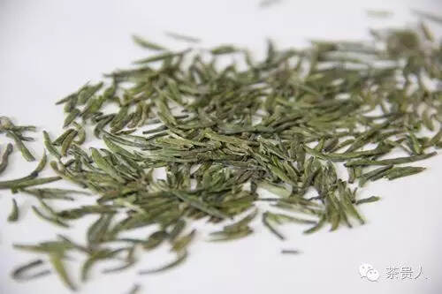 绿茶种类集结号，为你杯里的绿茶站队