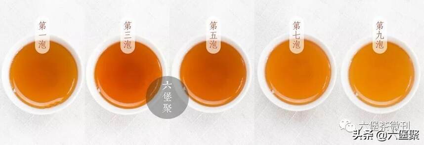 「派茶」一款野韵十足的高山槟榔香六堡茶，先喝为快！