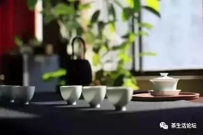 当社会学家在一起喝茶