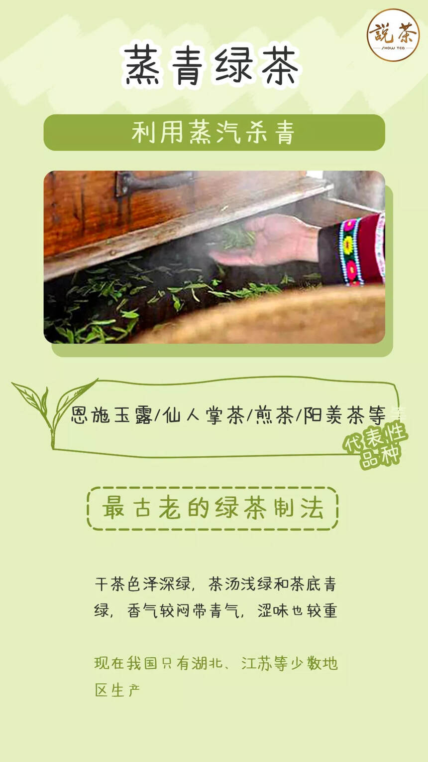 绿茶种类集结号，为你杯里的绿茶站队