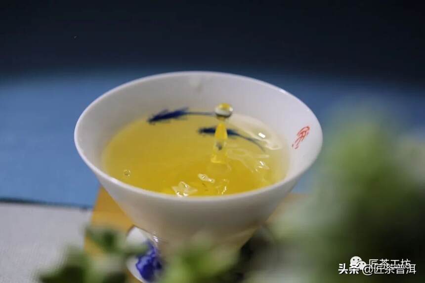 诗画春茶｜最美春茶，忘却世间万种香