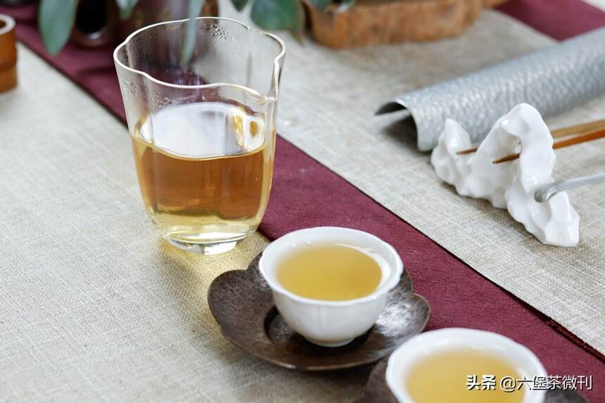 春茶究竟好在哪里？六堡茶春茶有哪些？