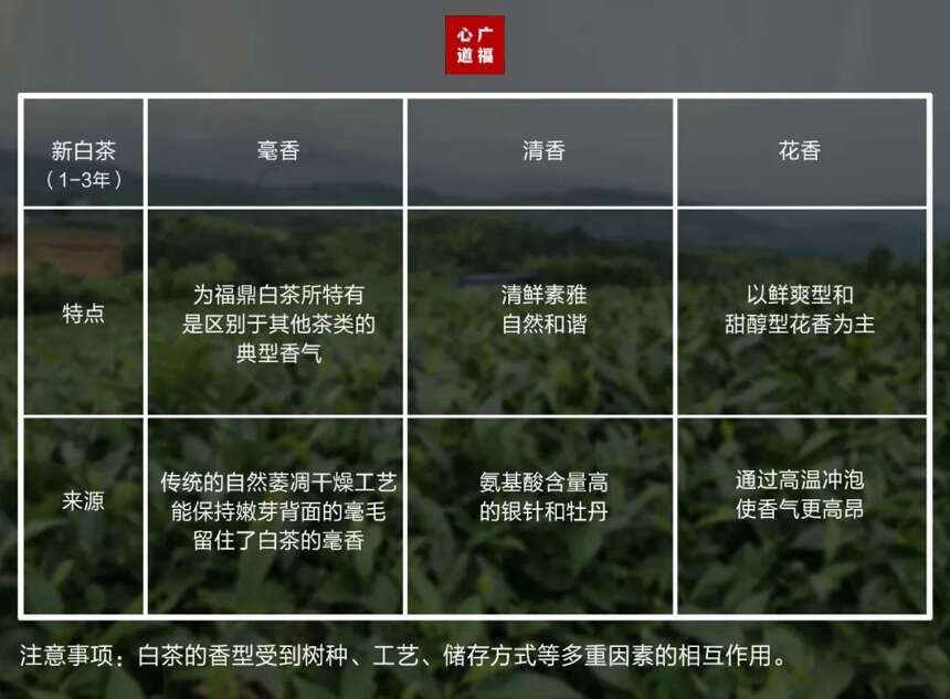 白茶知识大科普——香型大揭秘，你pick哪个？