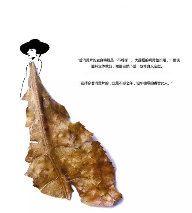 见过这么美的茶叶时装美女吗？