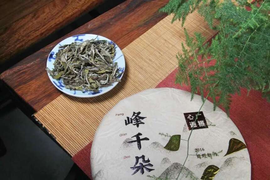 厦门站巡讲座无虚席，茶客齐聚一堂！道哥，下一站去哪儿？