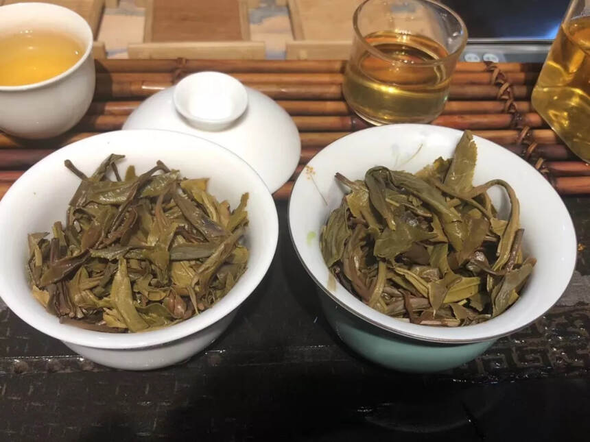 边境森林的江湖茶气