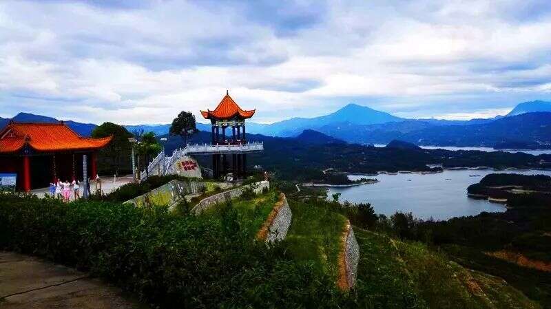 中国T20最美生态茶园，湖北占两席