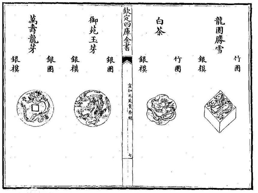 细数那些仍「活在世上」的贡茶园