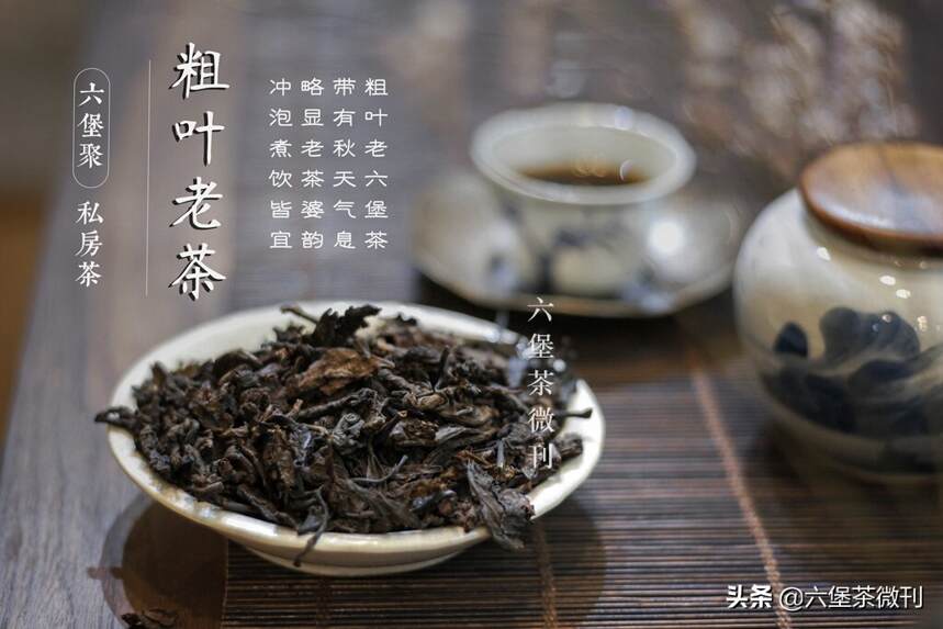 「干货」除了会喝老茶，还要会泡老茶，泡老六堡茶的3个要点