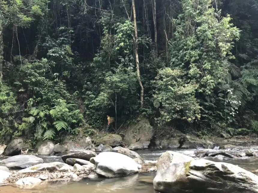 茶马古道上的马帮文化