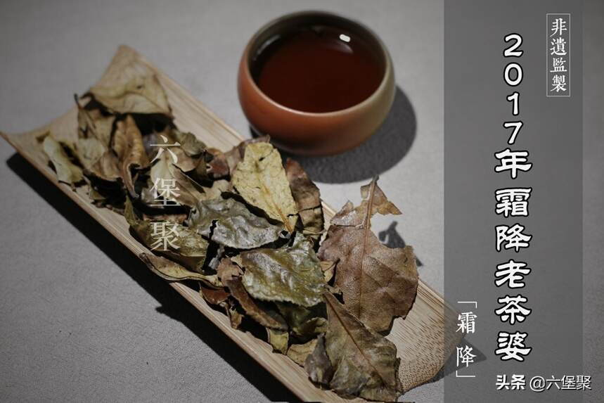 「好茶」特色六堡茶：不同年份的农家老茶婆滋味究竟有何特色？