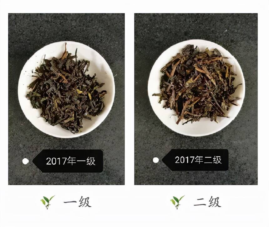 祁门安茶纷繁多说的茶名，你知道几个？