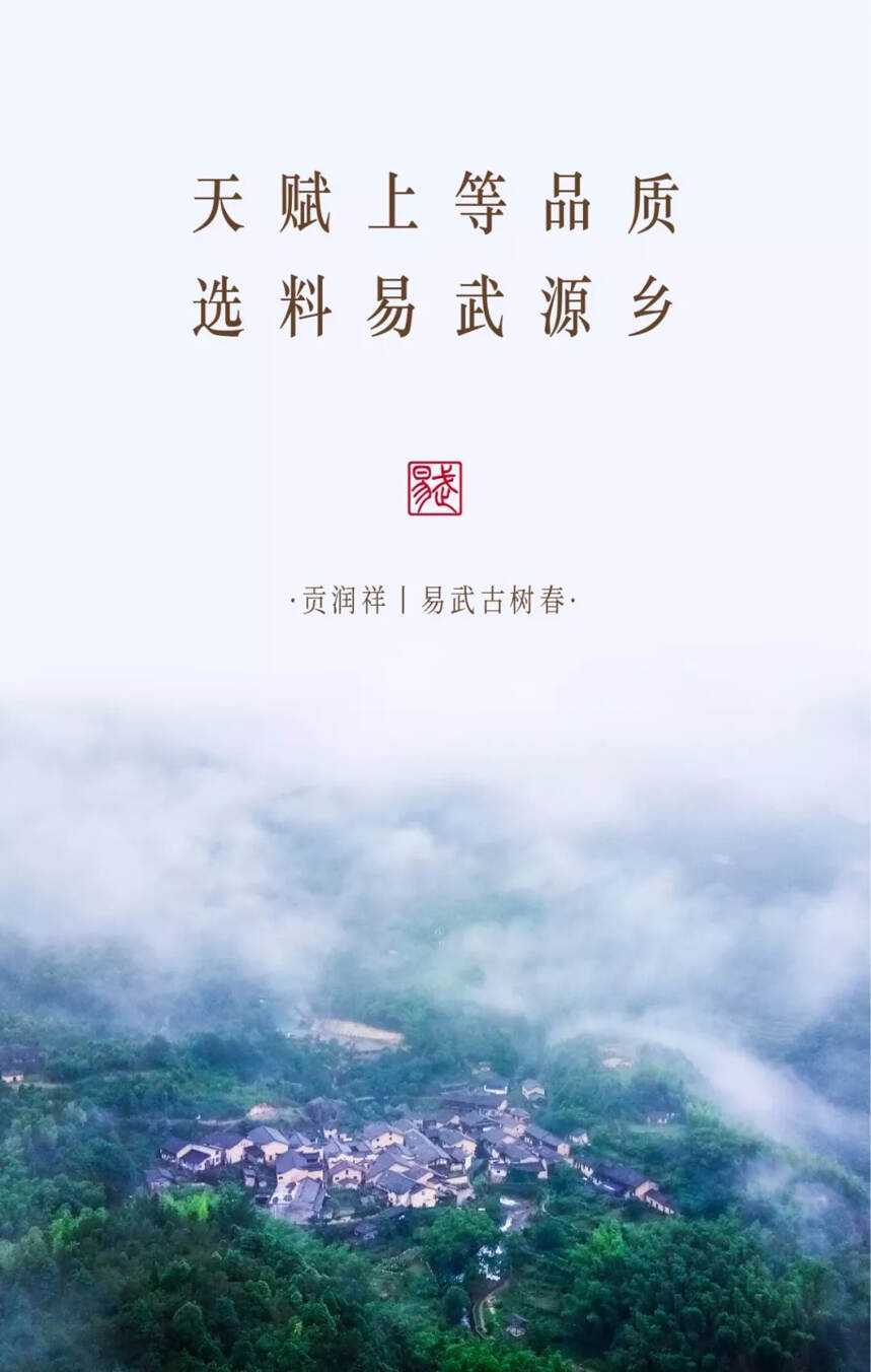 贡润祥“名山系列”首款巨作——易武古树春