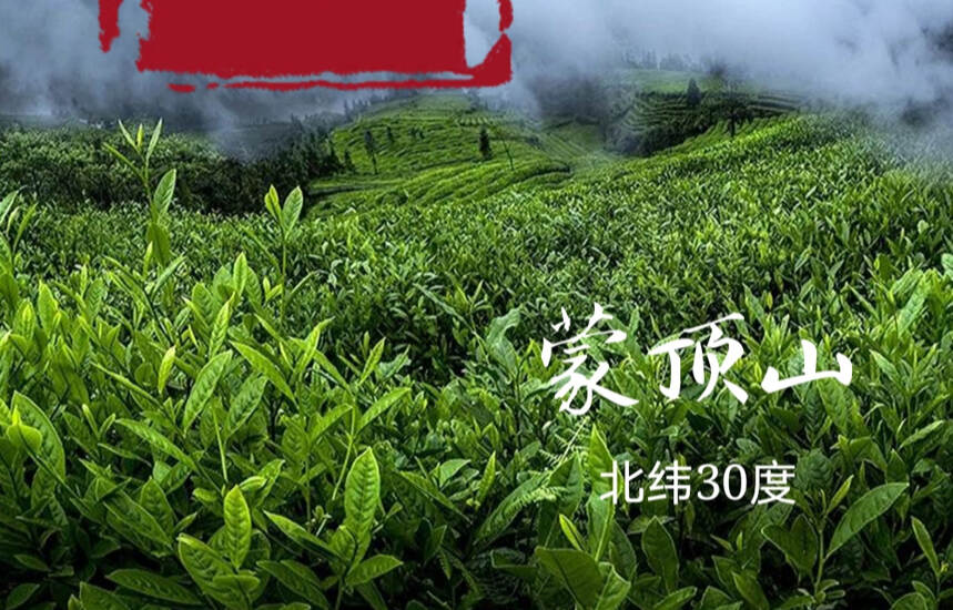 一位专心专意做藏茶的人