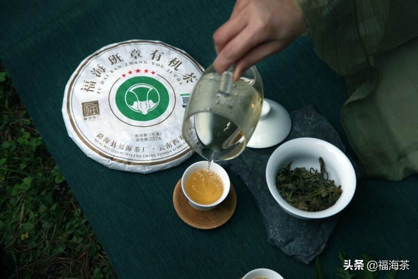 茶会预告 | 夏至将至，探索有机茶与点茶文化