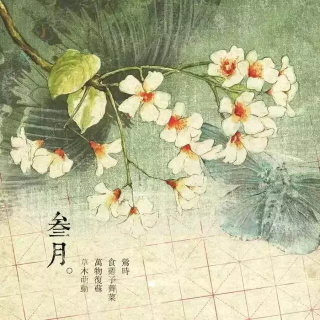 十二个月，二十四首诗，美醉了时光