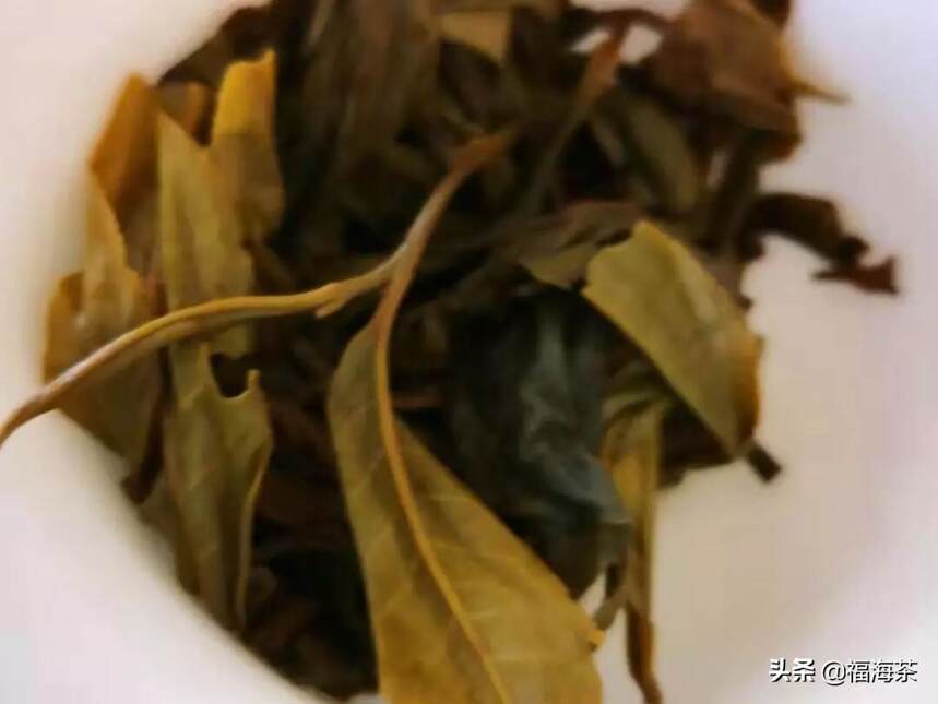 福享家日志 | 012.一杯茶，即是万水千山