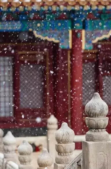 北国的雪  南方的茶