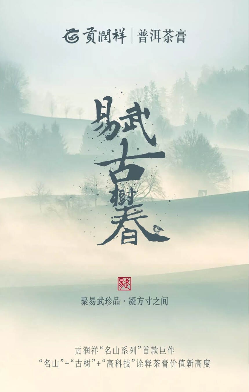 贡润祥“名山系列”首款巨作——易武古树春