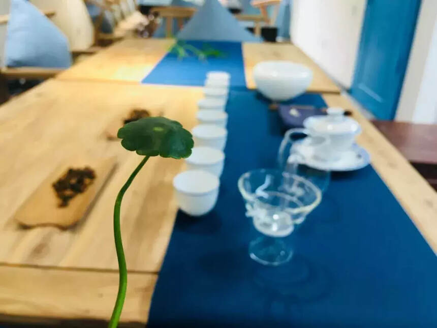 宽和茶会（肆）｜奇妙黄丹果茶探源品鉴聚会7