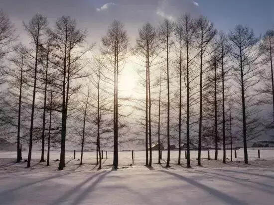 今日小雪｜西北风来，记得添衣御寒