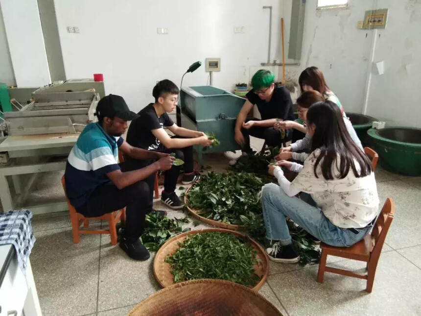 宽和习茶(十四)丨一个茶学生对茶学的理解