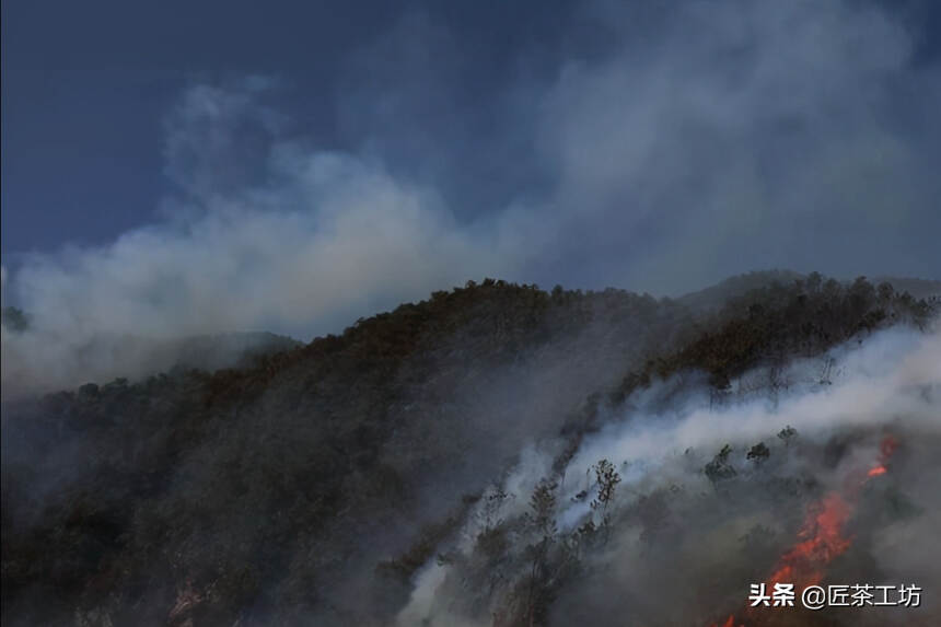 一段“桃色丑闻”引发的血案，影响了六大茶山的兴衰