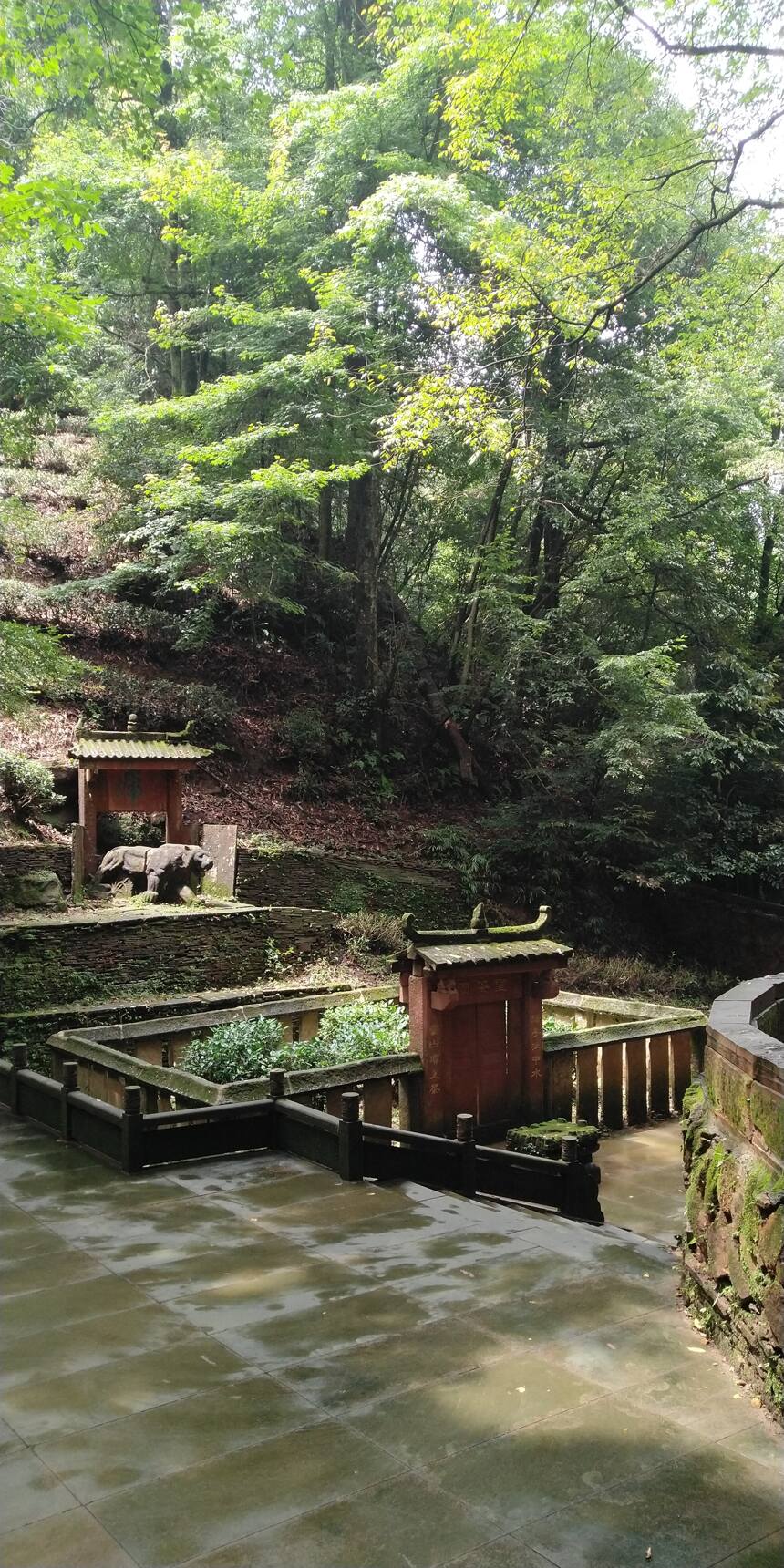 蒙顶山茶园一日游