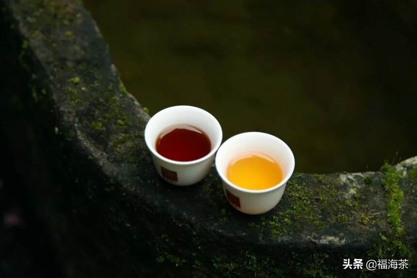 雨水茶语 | 好雨知时节  当春乃发生