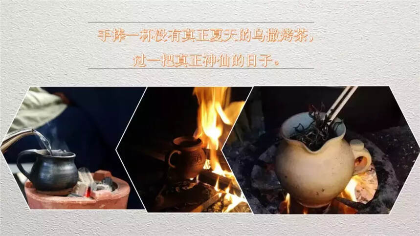 傅传耀：茶旅一体在深度融合中阔步前行