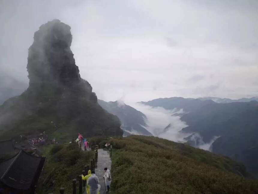 梵天净土 秘境寻茶| 云放梵净山茶园开园仪式圆满落幕