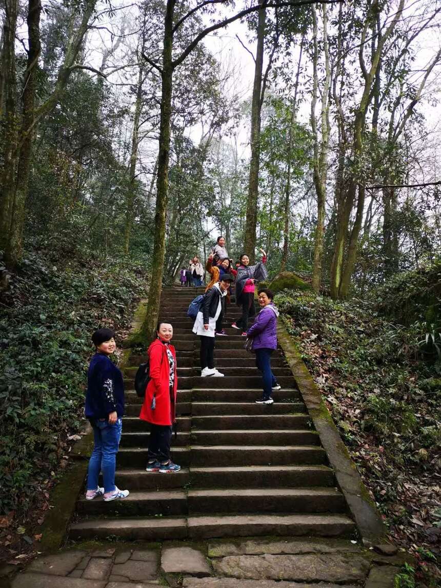 来自全国各地茶友朝拜世界茶文化圣山蒙顶山