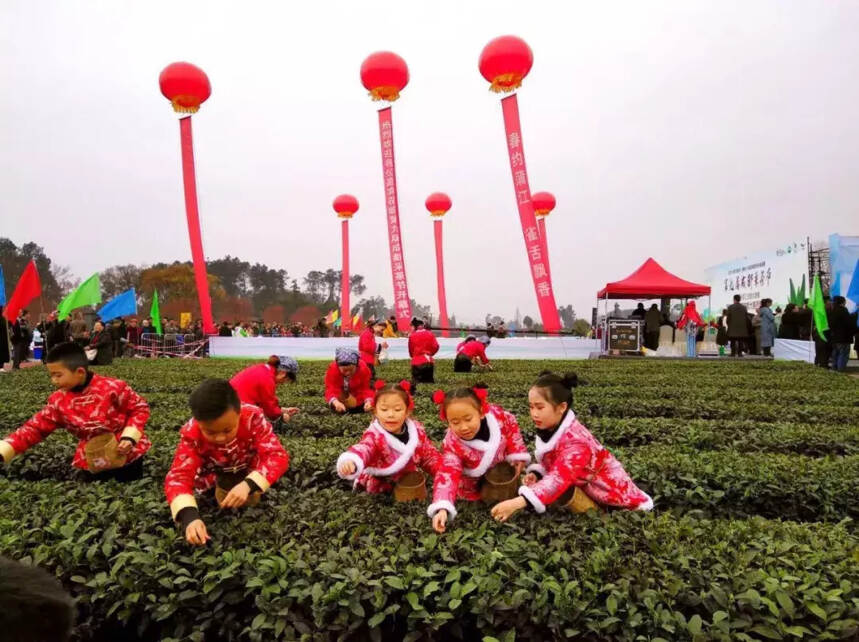 春约蒲江 雀舌飘香 | 2019第九届成都采茶节今日在蒲江开幕