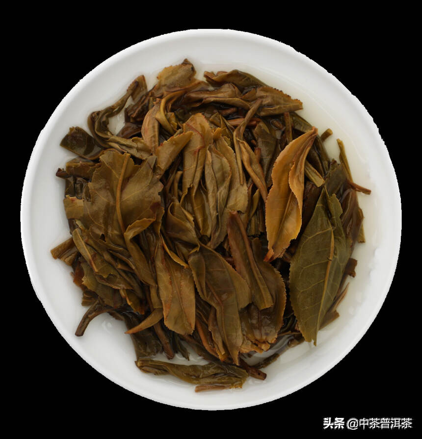 中茶新品 | 2022年中茶茗山 凤凰窝 普洱茶（生茶）紧压茶