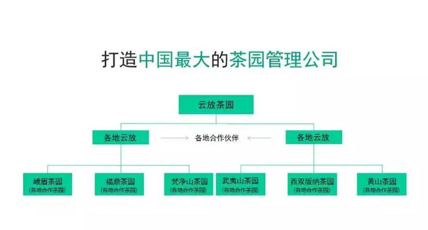 山之巅，林之间，有一片你我心中向往的梦田