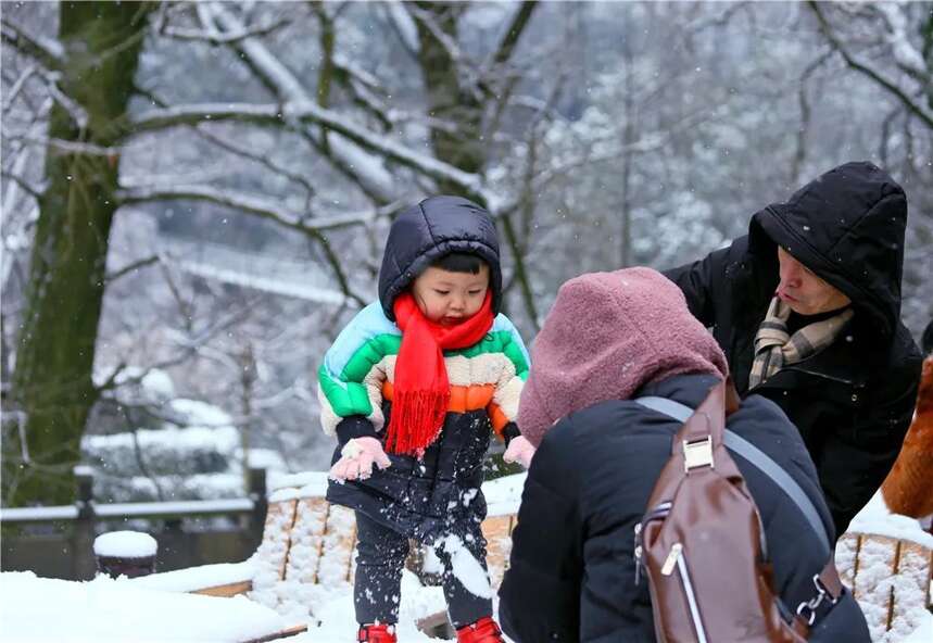 元旦踏雪，近在蒙顶山，约吗？