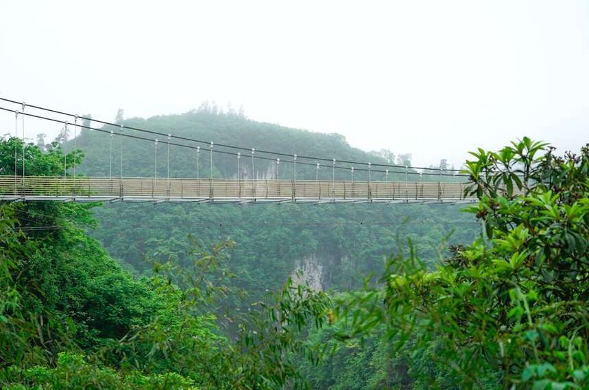 梵天净土 秘境寻茶| 云放梵净山茶园开园仪式圆满落幕