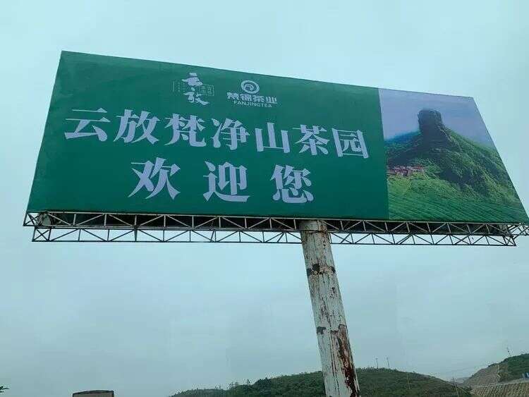 梵天净土 秘境寻茶| 云放梵净山茶园开园仪式圆满落幕