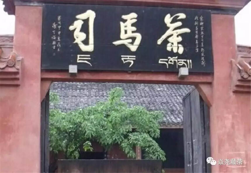 喝了一辈子茶未必知道茶叶从哪里开始？