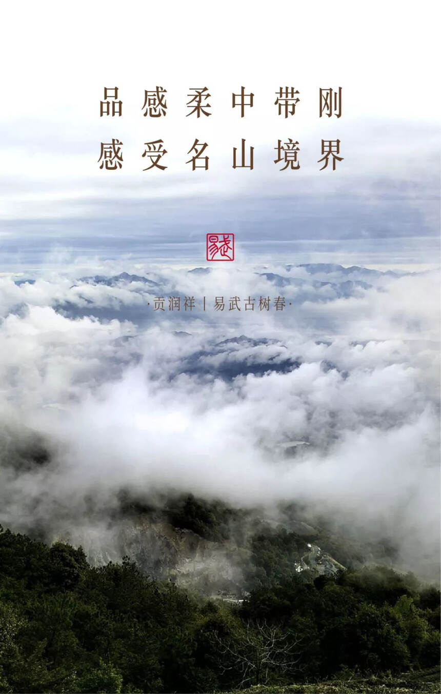 贡润祥“名山系列”首款巨作——易武古树春