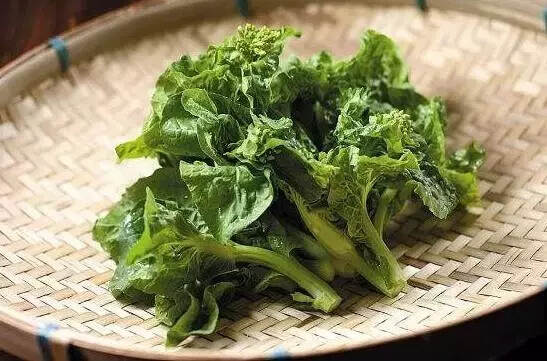 春分，春色与茶色平分