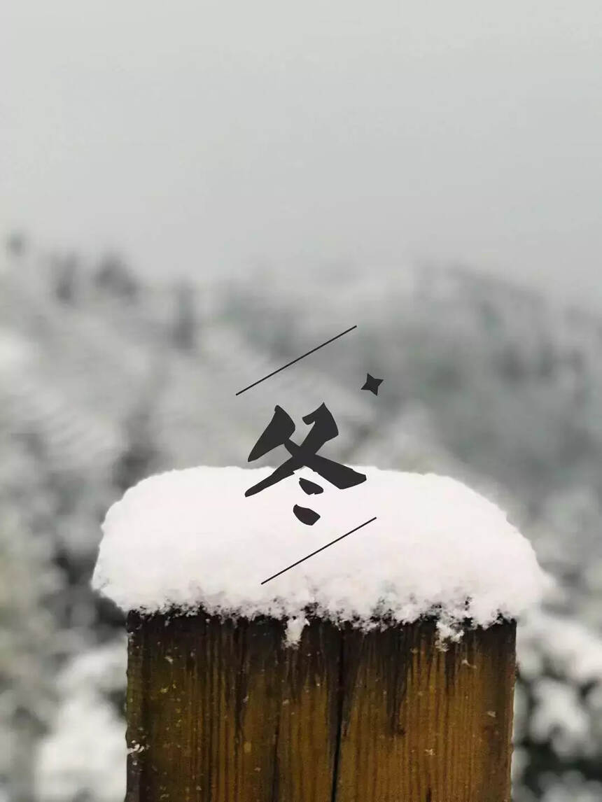 煮雪烹茶，静待春意浓