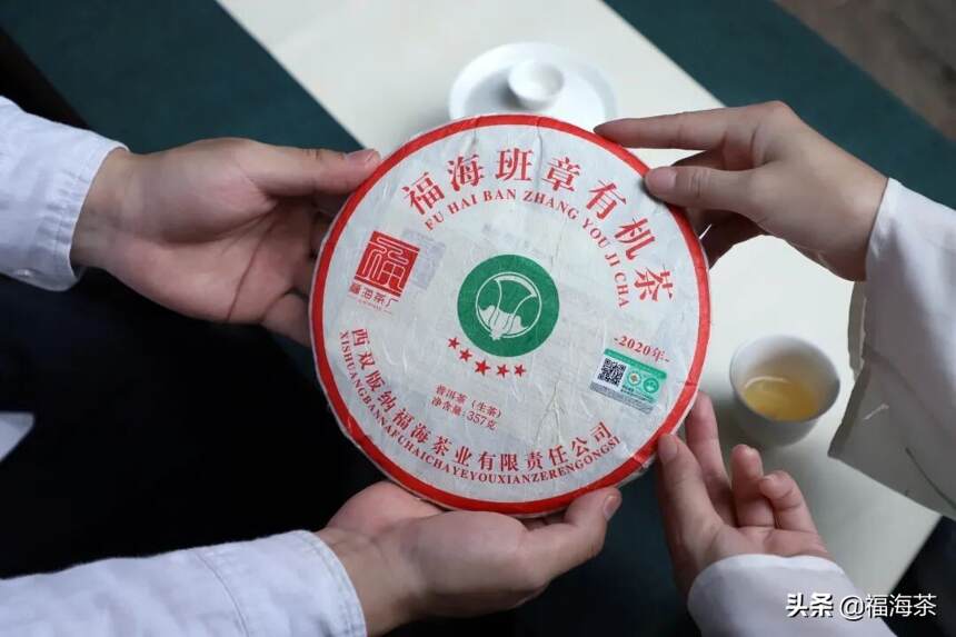 大郭说茶丨83.班章有机茶上的“大白菜”标是怎么得来的