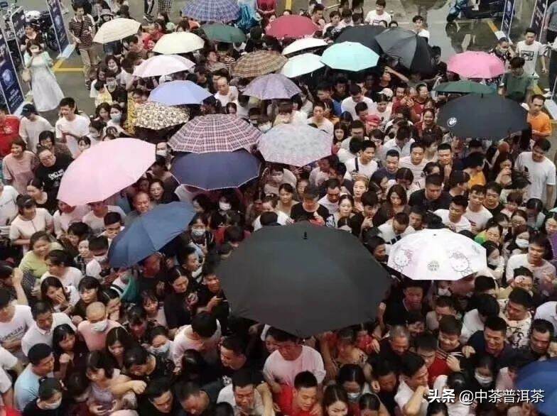 2020中茶水蓝印广州现场签售，近千人冒雨排队抢购，场面火爆