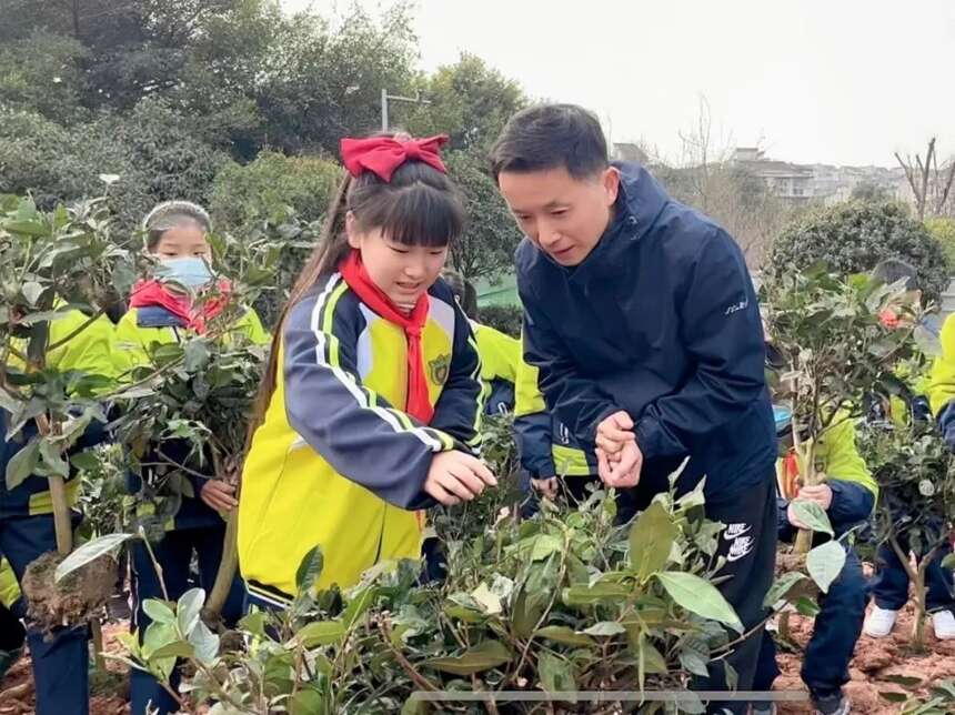 茶文化公园蒙顶山茶园植茶仪式今日成功举行