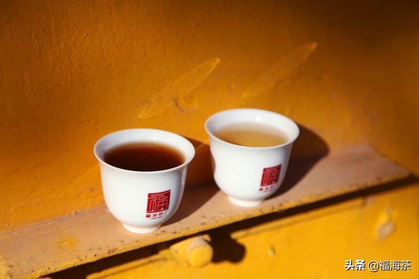 福海讲堂 | 普洱茶的回甜和回甘