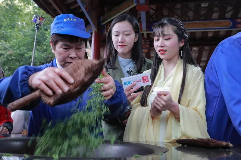 养眼！“蒙茶仙子”带你打卡世界最美茶乡