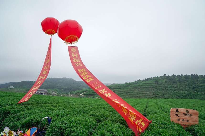 梵天净土 秘境寻茶| 云放梵净山茶园开园仪式圆满落幕