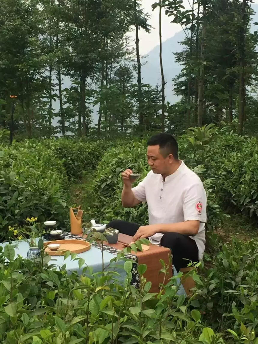 “2018蒙顶山匠心茶人”授牌仪式｜绵阳茶人荣誉